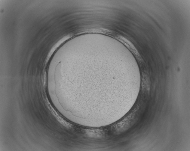 X0000082710804200702091746