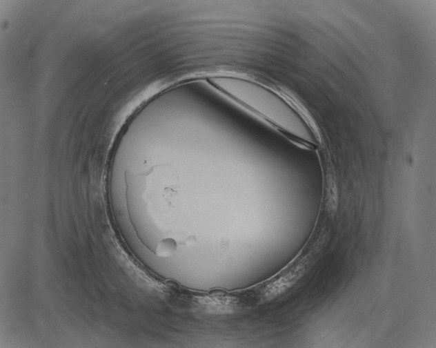 X0000082710805200702091746