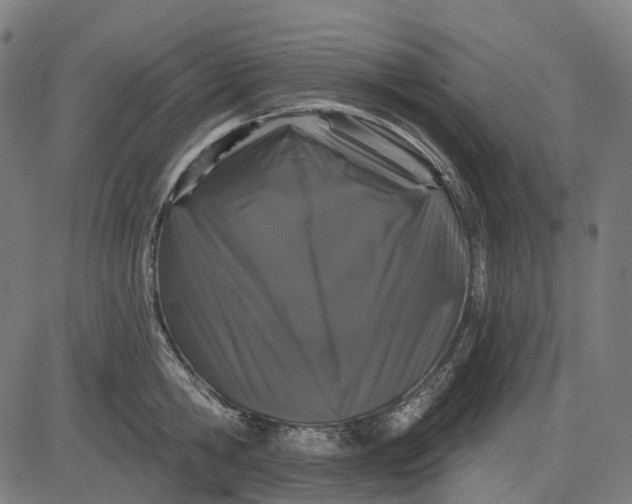 X0000082710806200702091746