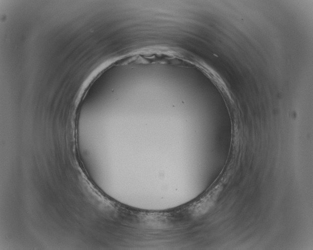 X0000082710808200702091746