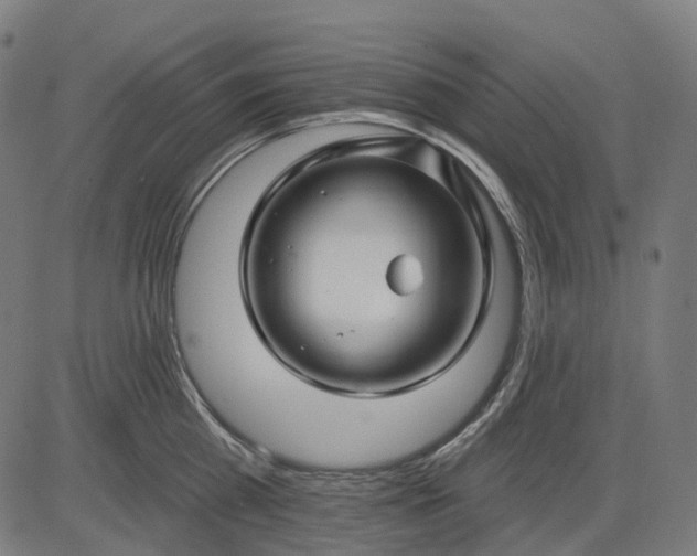 X0000082710809200702091746