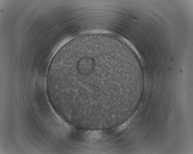 X0000082710810200702091746