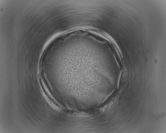 X0000082710811200702091746