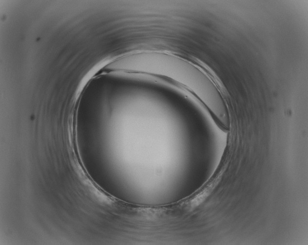 X0000082710812200702091746