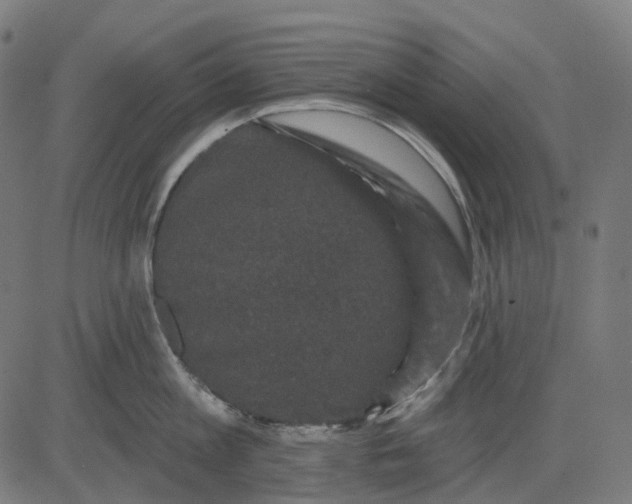 X0000082710813200702091746