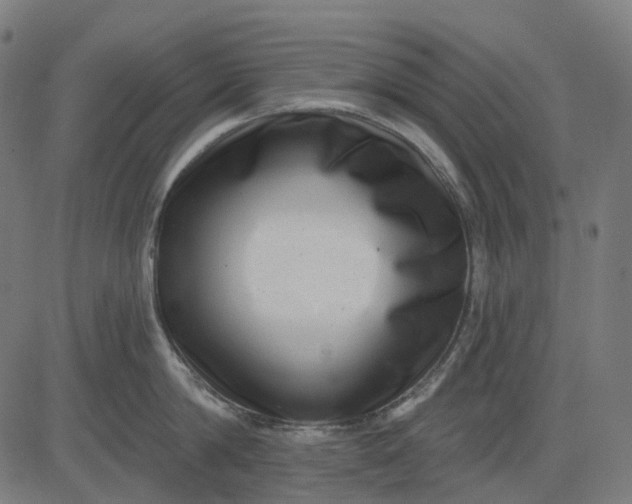 X0000082710814200702091746