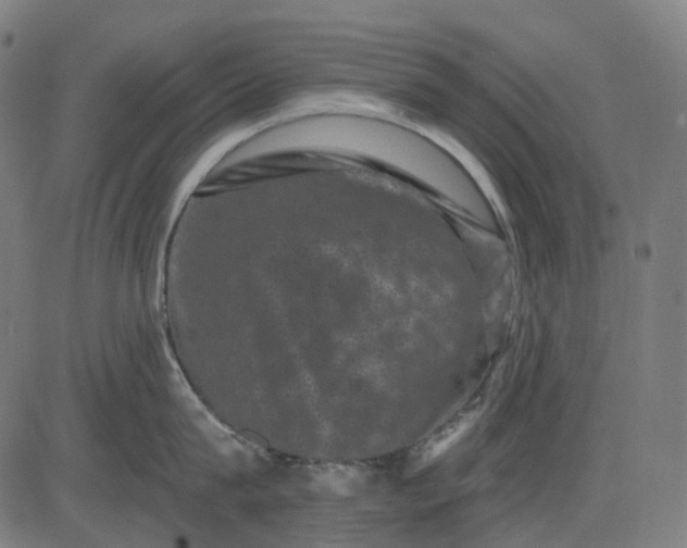 X0000082710815200702091746