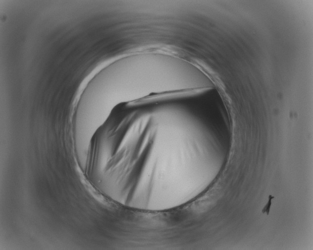 X0000082710816200702091746