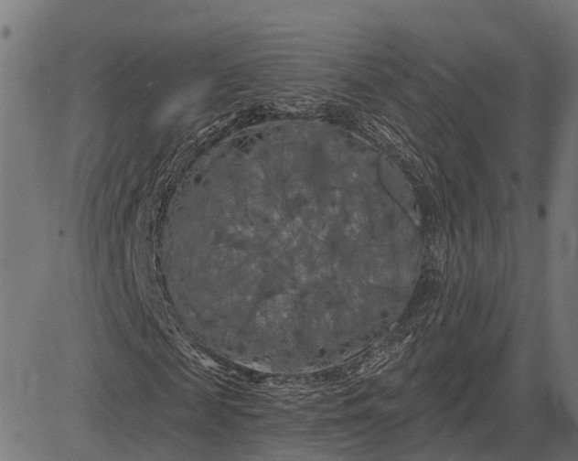 X0000082710817200702091745