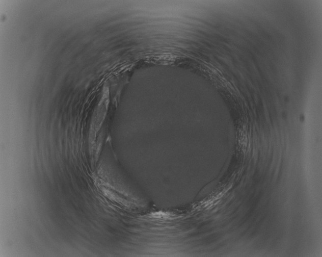 X0000082710818200702091745