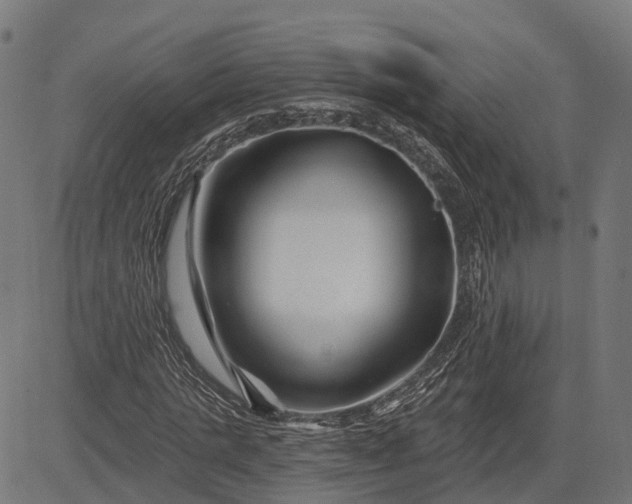 X0000082710821200702091745