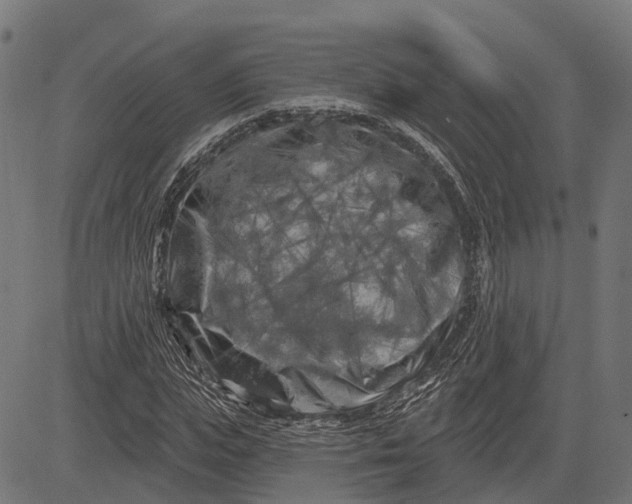 X0000082710823200702091745