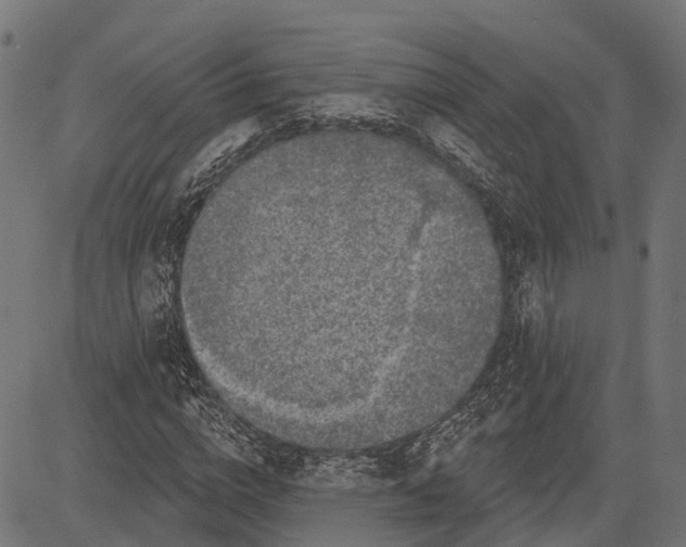 X0000082710824200702091745