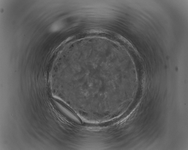 X0000082710825200702091745