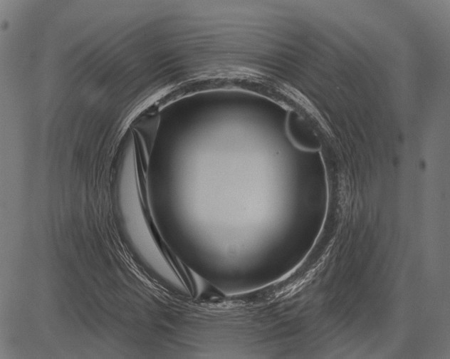 X0000082710826200702091745