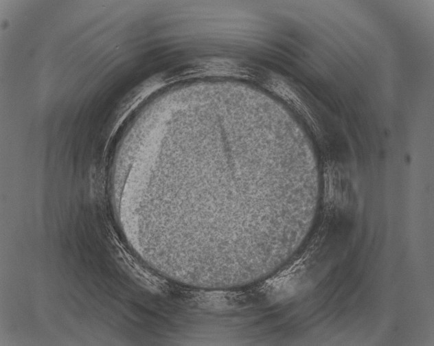 X0000082710828200702091745