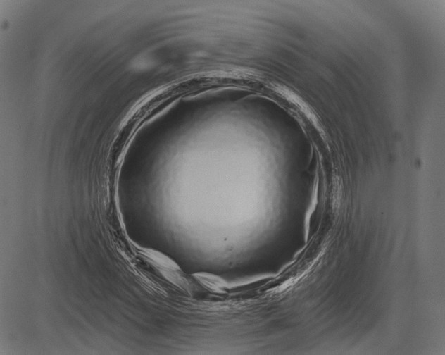 X0000082710829200702091745