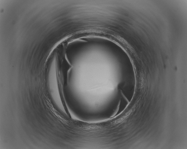 X0000082710830200702091745