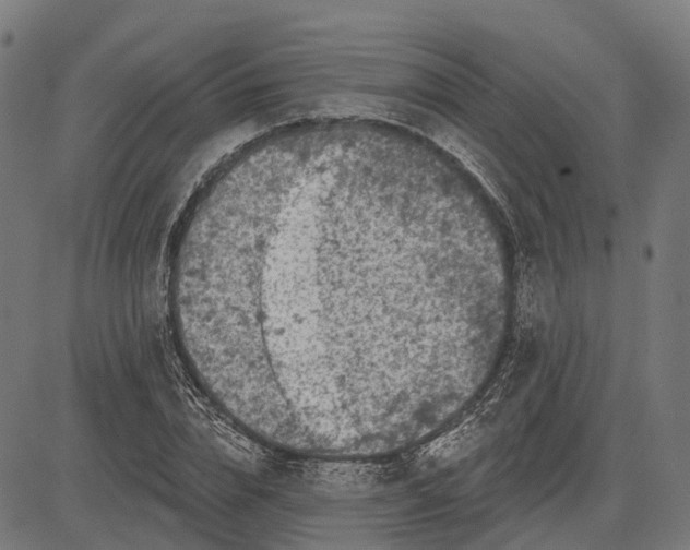 X0000082710832200702091745