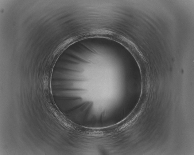 X0000082710833200702091745