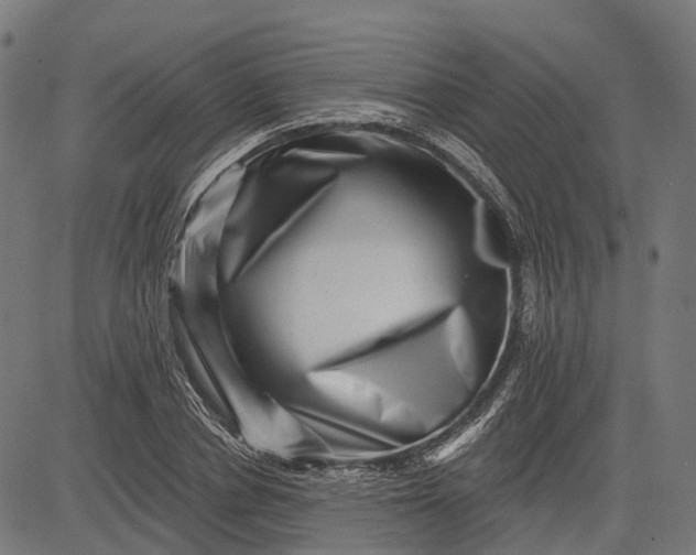 X0000082710834200702091745