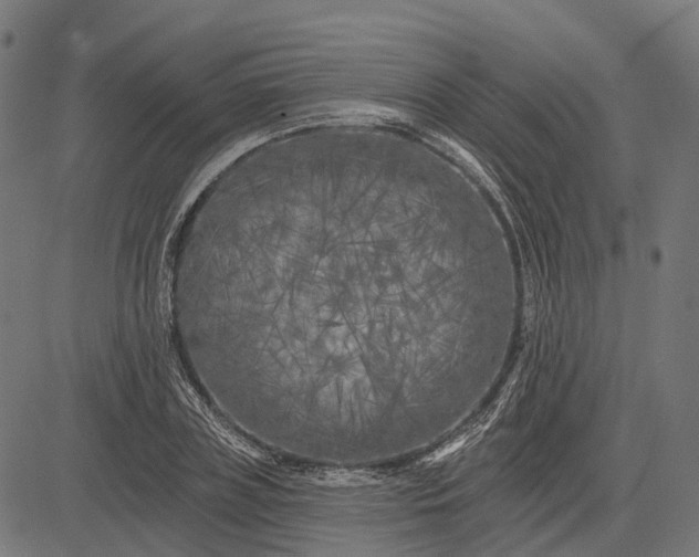 X0000082710835200702091745