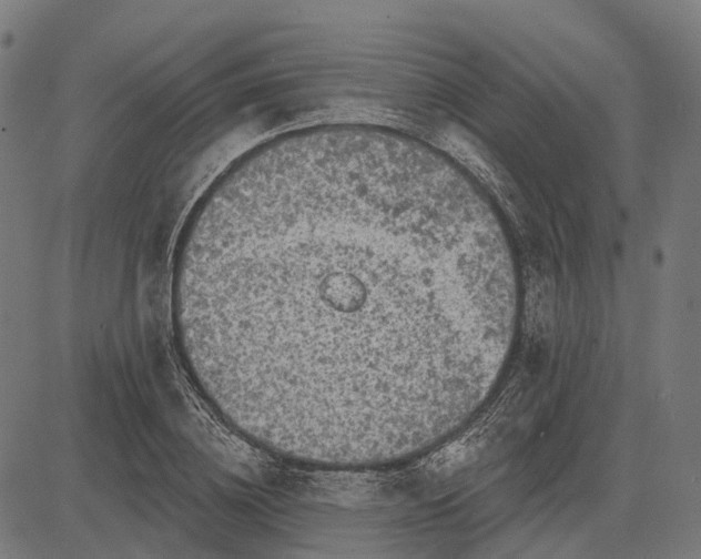 X0000082710836200702091745