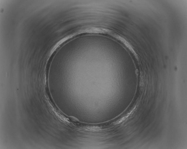 X0000082710837200702091745