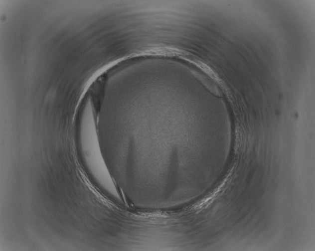 X0000082710838200702091745