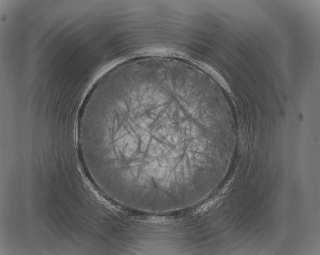 X0000082710839200702091745