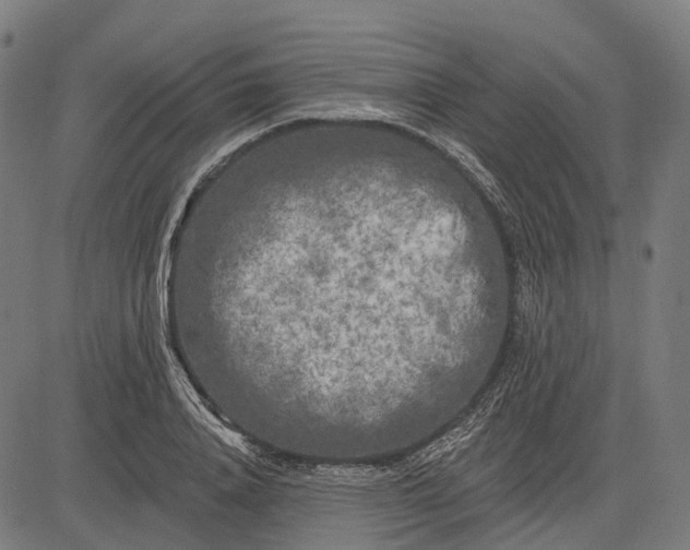 X0000082710840200702091745