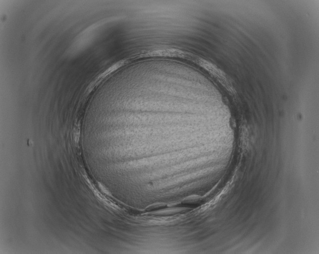 X0000082710841200702091745