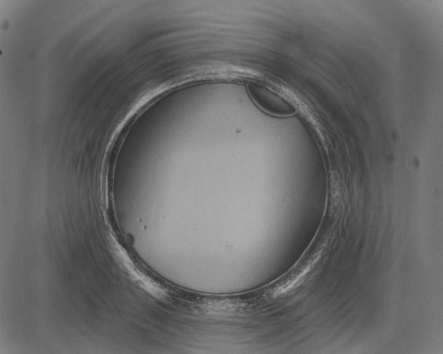 X0000082710843200702091745