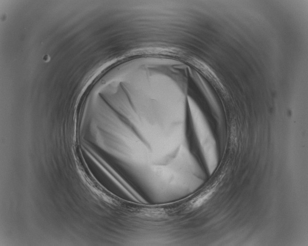 X0000082710844200702091745