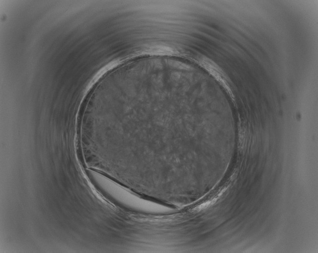 X0000082710845200702091745