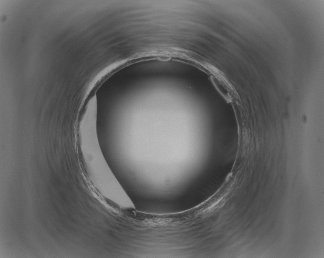 X0000082710846200702091745