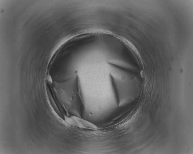 X0000082710847200702091745