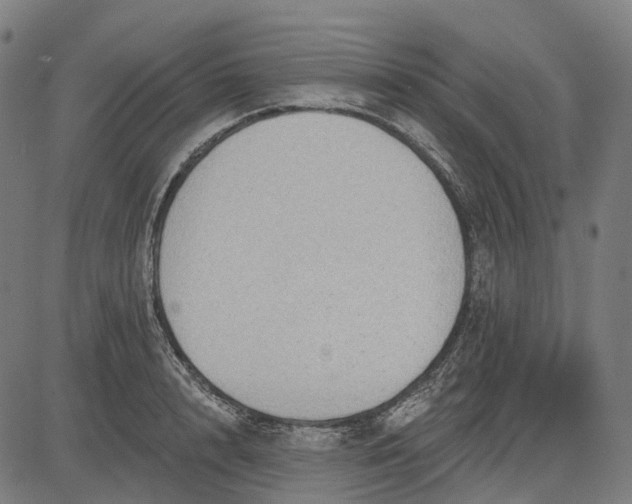 X0000082710848200702091745