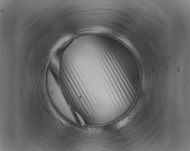 X0000082710850200702091746