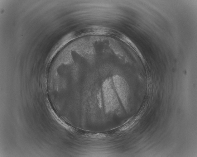 X0000082710851200702091746