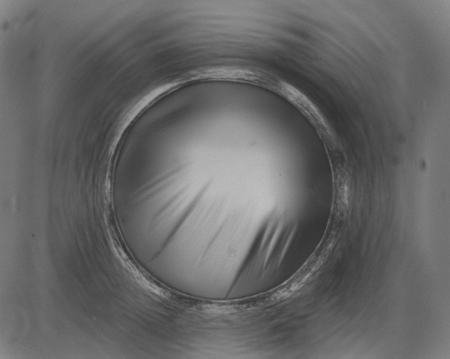 X0000082710852200702091746