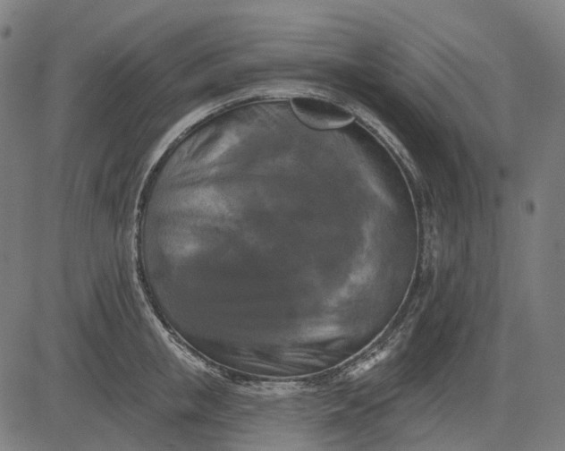 X0000082710853200702091746