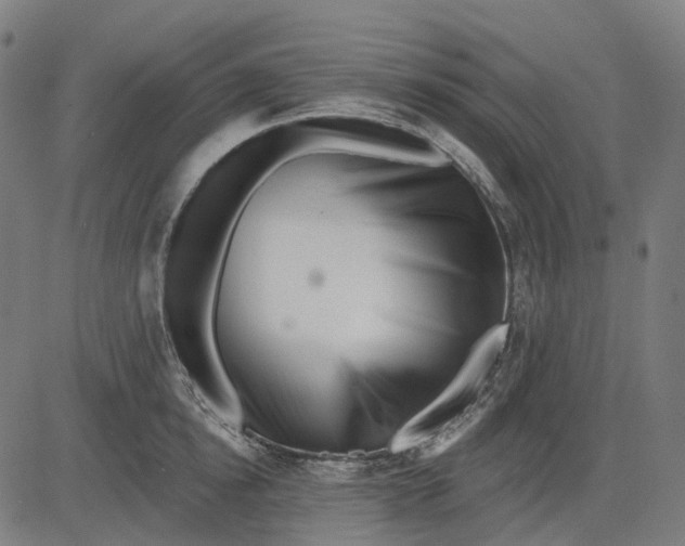 X0000082710854200702091746