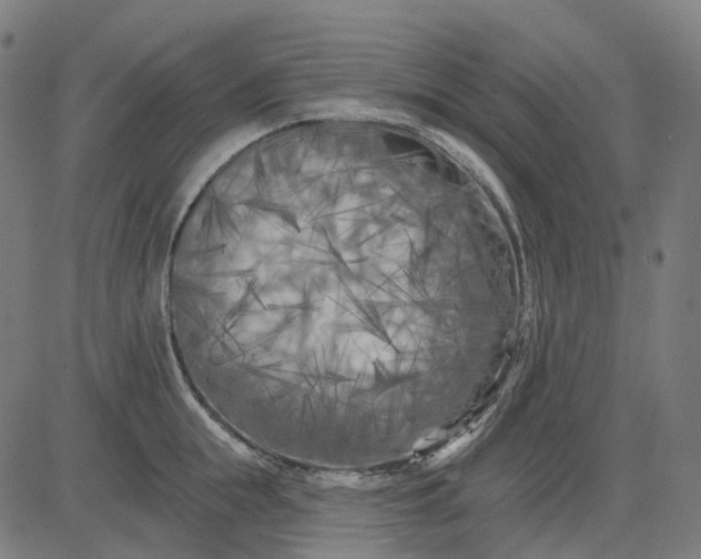 X0000082710855200702091746