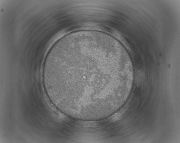 X0000082710856200702091746