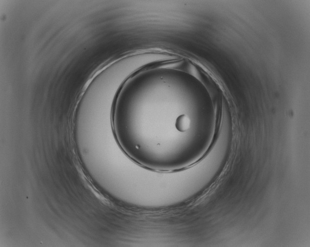 X0000082710858200702091746