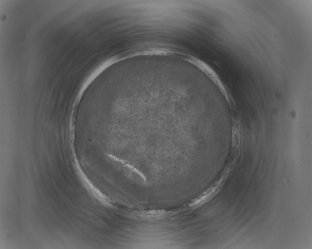 X0000082710859200702091746