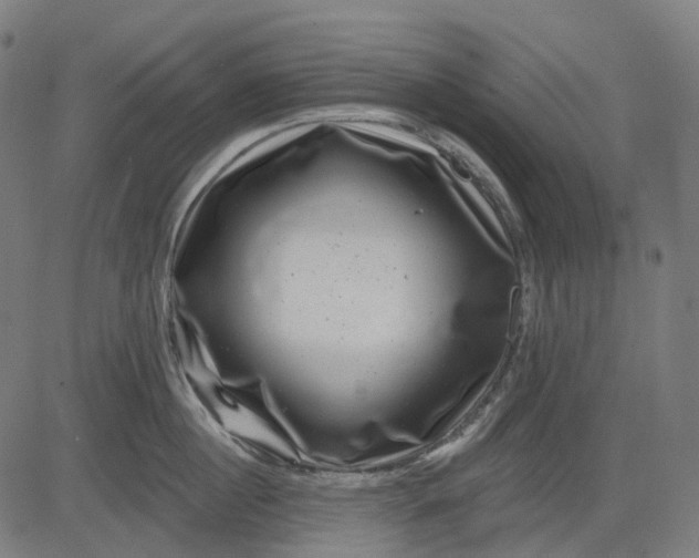 X0000082710860200702091746