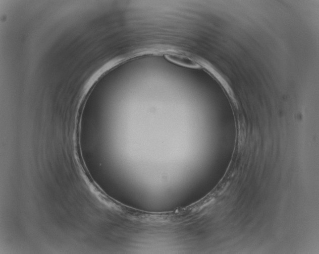 X0000082710861200702091746