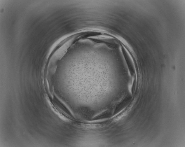 X0000082710862200702091746